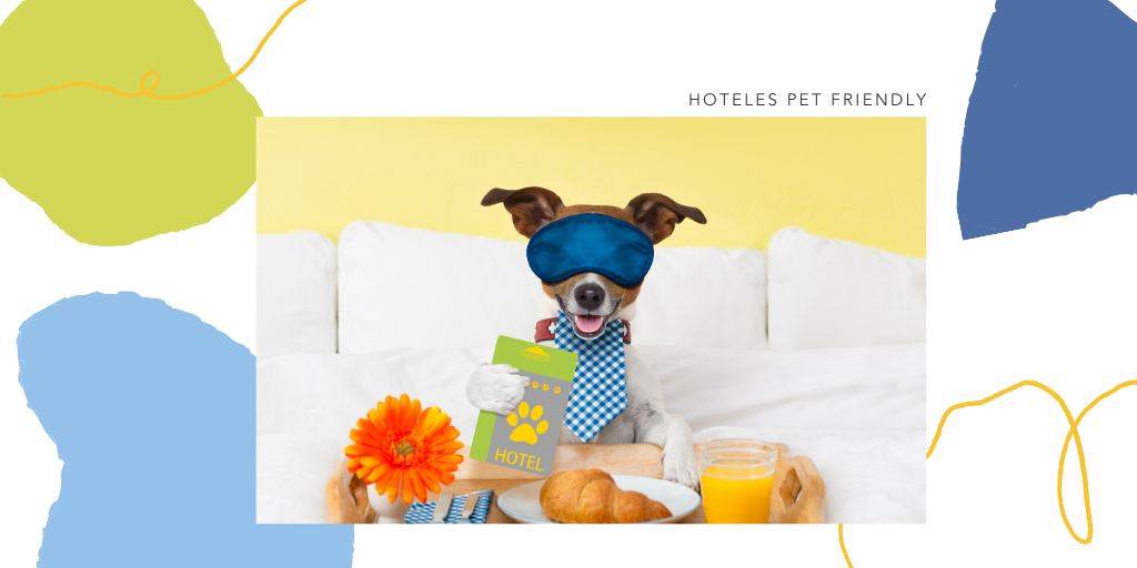 RedVetersalud's tweet photo. Busca Hoteles: Se aceptan mascotas. ⁣⁣⁣Son los que no solo tienen mascotas sino que son amigables con ellas y entienden sus necesidades.
Recuerda nuestra "Guía para viajar con tu mascota" en⁣⁣⁣: https://t.co/vFxriTgiSt⁣
 #verano #verano2020 #nosinmiperro #vetersalud https://t.co/Edk655yYTm