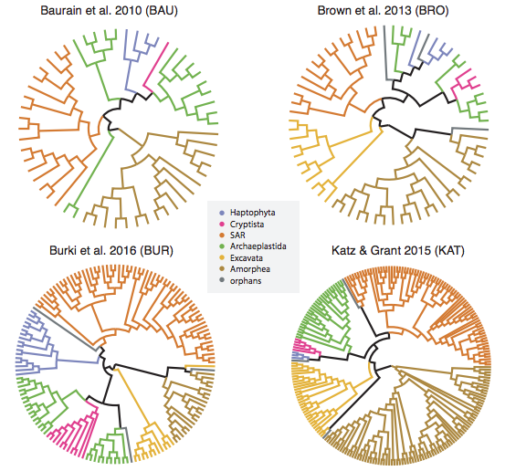 SystBio_UU's tweet photo. New #Preprint by @IkerIrisarri et al. about "Phylogenomic Insights into the Origin of Primary Plastids"! 🦠

#Phylogenomics #Phylogenetics #Eukaryotes #SystBioPaper

Check it out at: https://t.co/4c6ieQtfzQ https://t.co/DMG368a07v