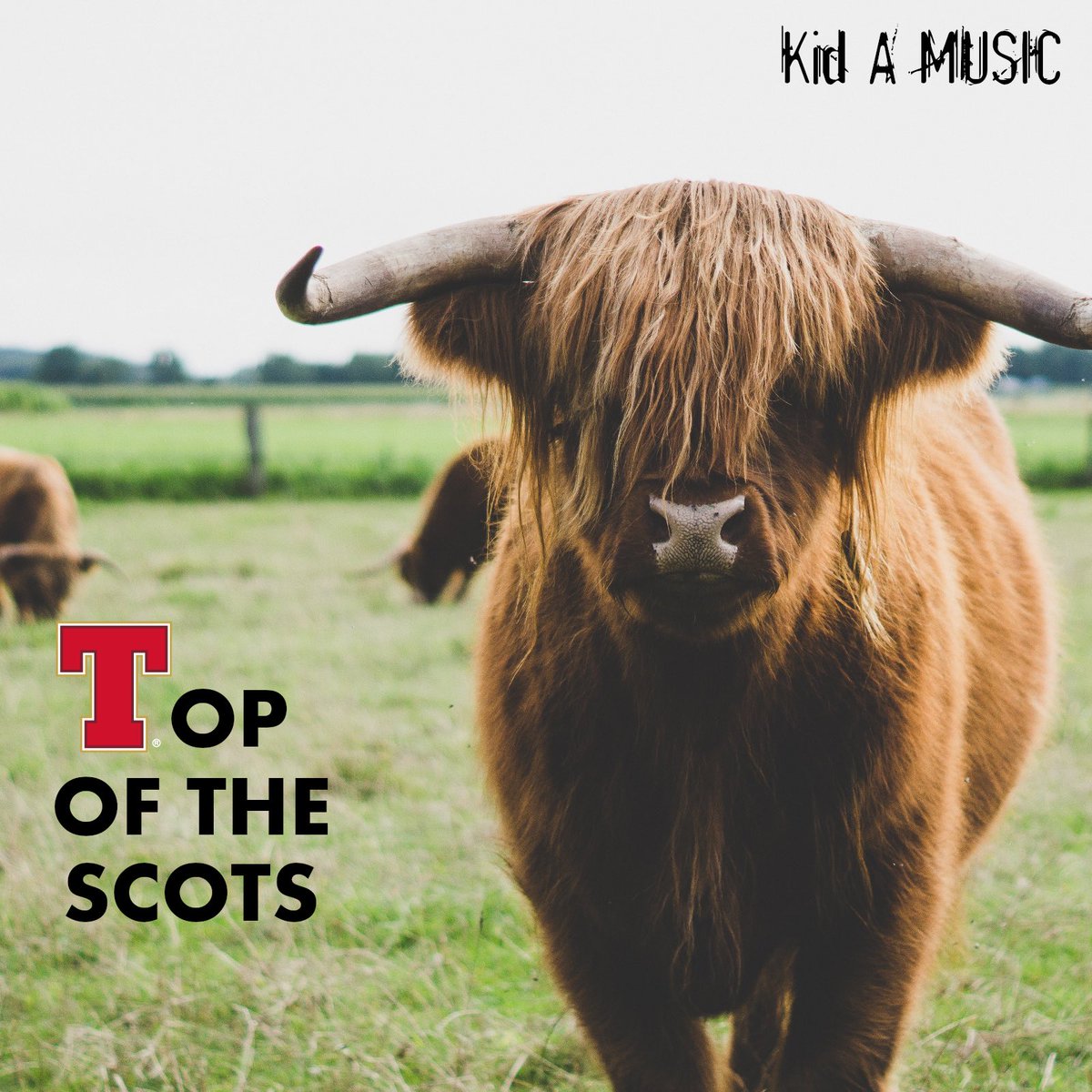 🟢⚫️NEW SPOTIFY PLAYLIST⚫️🟢

Top of the Scots in now LIVE!

Featuring tracks from Vukovi, Rascalton, Shredd, Spring Break, Emma Woods &amp; more!

Follow &amp; add to library!

spoti.fi/319Smsk

*Kid A Music is in no way sponsored or endorsed by Tennents but my inbox is open 😉*