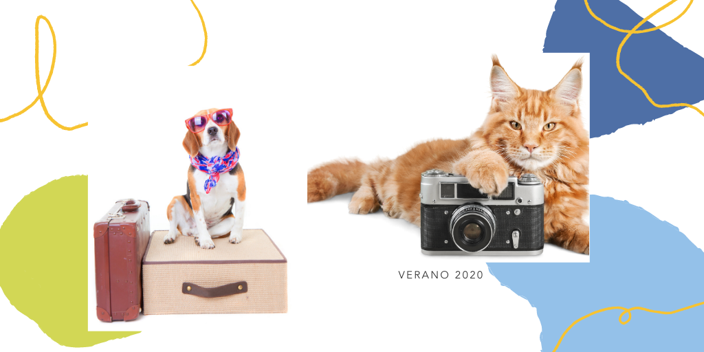 RedVetersalud's tweet photo. Ya casi se acaban las vacaciones…. ⁣ ⁣ Muchos ya habéis regresado, otros regresaréis pronto ... ⁣ ⁣ Así que toca de nuevo hacer maletas pero esta vez para volver a casa y recordar las vacaciones mirando fotos. ⁣ ⁣
 #verano #verano2020 #cuidamostumascota #vetersalud https://t.co/Cu7tLjoFiU