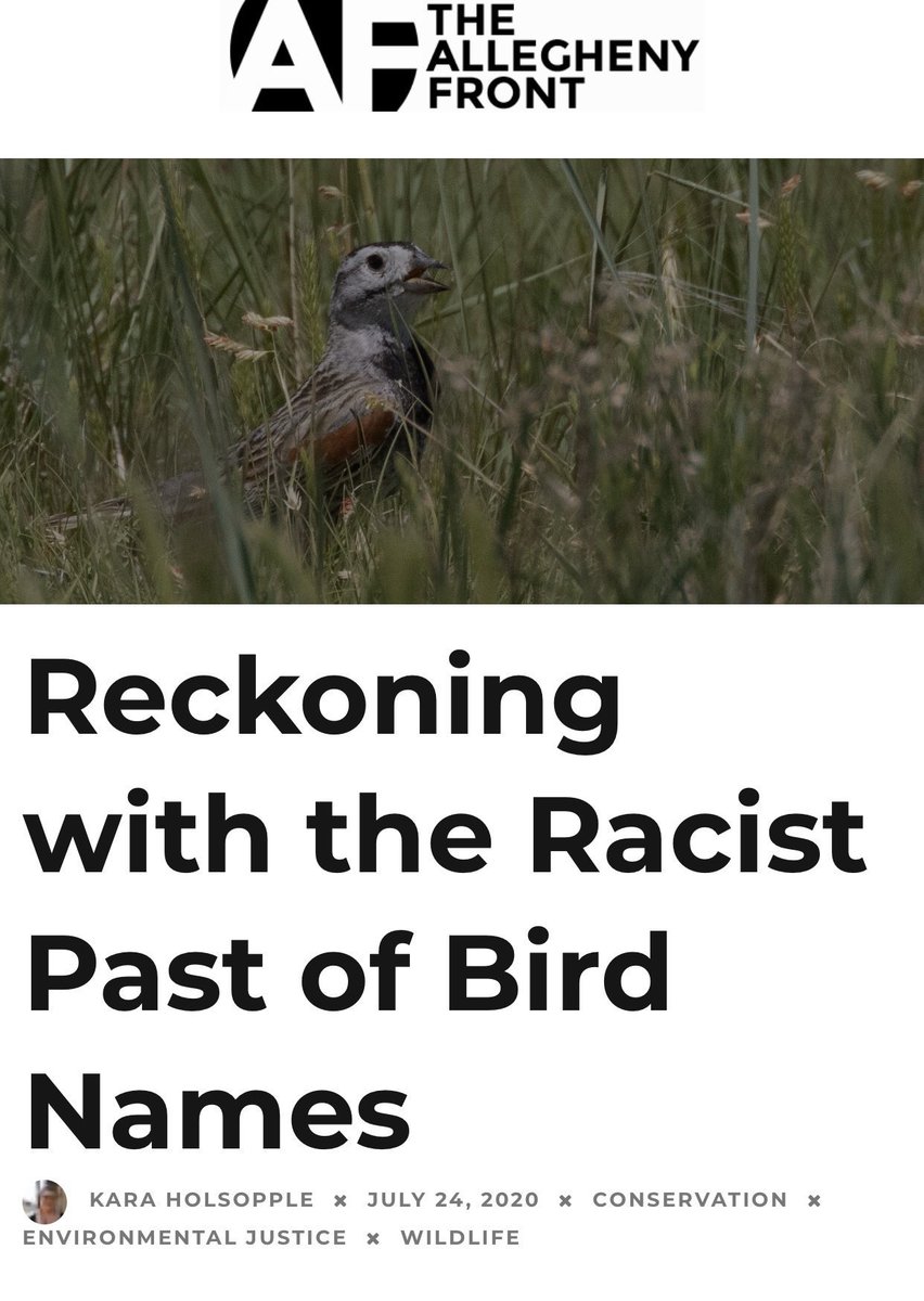 THINGS THAT ARE RACIST(part 25)• Grammar • Landscape architecture • Paw Patrol • Birds