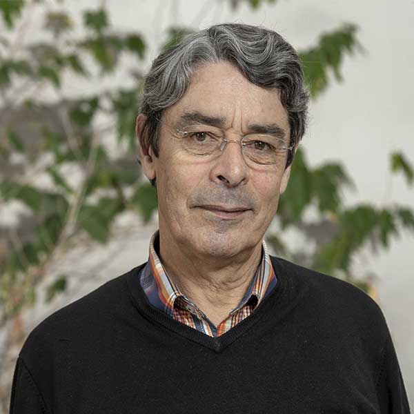 La région #PACA est la 2ème région française la plus boisée, avec 51% de son territoire. Olivier Gaujard, président de l’interprofession Fibois Sud Paca, vous explique, dans cet article, les enjeux de la restructuration de la filière dans cet région. architecturebois.fr/?p=38657