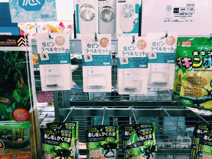 ダイソーの昆虫針レビュー 遂にダイソーで昆虫針まで販売 Jb の ワイドアンドシャロー