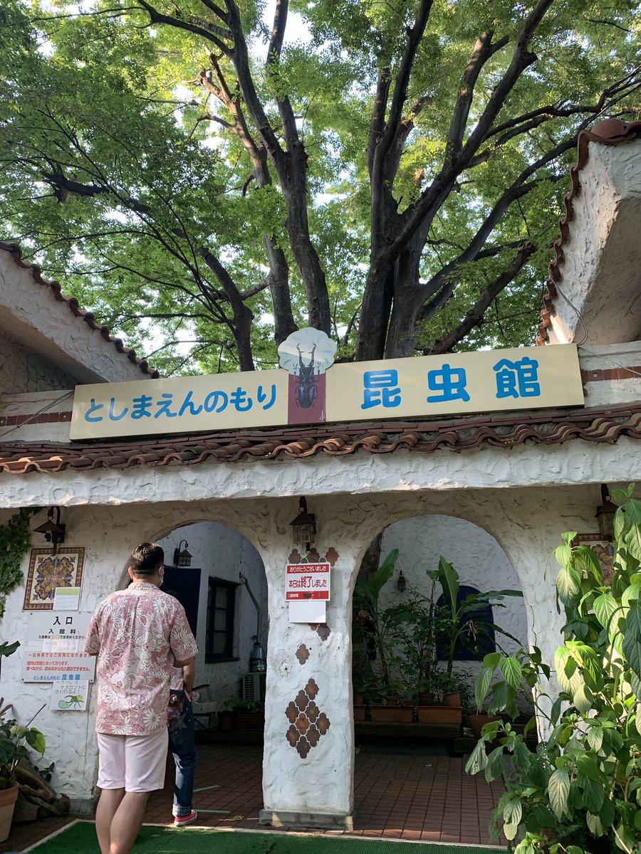 チェルシーひよこ Di Twitter としまえんの昆虫館は 300円別途でかかるしと思って一度も入ったことなかったけど結構楽しかった 大量の虫を見れたし カブトムシのふれあいコーナーでは癒されたし 涼しいし あと 涼しいよ チェルシーひよこ Di Twitter としまえんの昆虫館は 300円別途でかかるしと思って一度も入ったことなかったけど結構楽しかった 大量の虫を見れたし カブトムシのふれあいコーナーでは癒されたし 涼しいし あと 涼しいよ