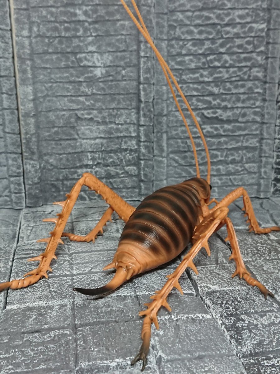 Bataou 一番くじ昆虫のジャイアントウェタ 超デカいカマドウマの仲間 1 1サイズらしいけどこれが家の中に出たら泣く自信あり 顔だけ見ればつぶらな瞳でちょっとかわいい かも T Co Kxlwoew7gk Twitter Bataou 一番くじ昆虫のジャイアントウェタ 超デカいカマドウマの仲間 1 1サイズらしいけどこれが家の中に出たら泣く自信あり 顔だけ見ればつぶらな瞳でちょっとかわいい かも T Co Kxlwoew7gk Twitter