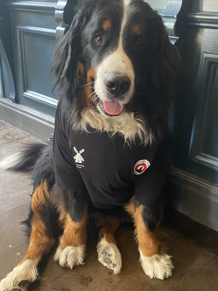 WindmillClapham's tweet image. This guy is very excited about @CamdenBrewery Hells, Pale &amp;amp; To The Pub being available to order through our awesome On Tap app! Download it prior to your visit for a faster experience and quicker great beer!