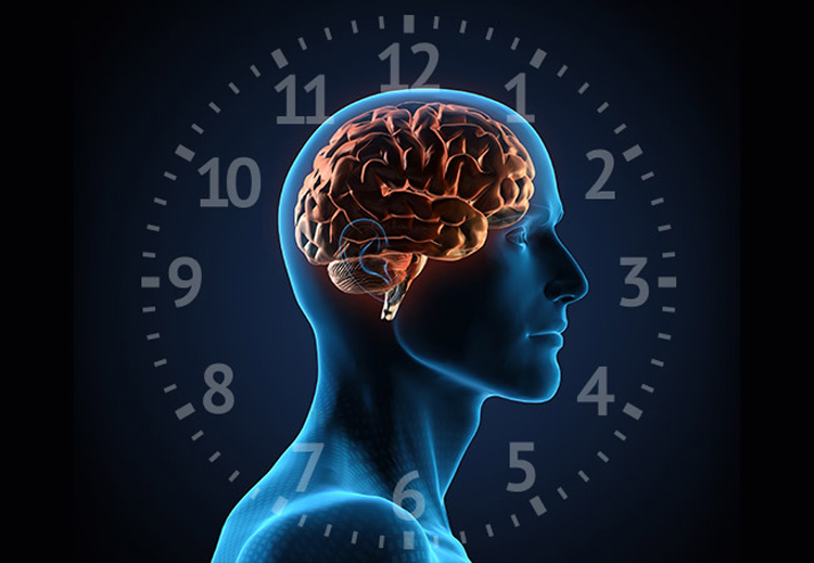 Every person has a master biological clock ticking away inside their brain, and dozens of smaller biological clocks throughout his or her body. Unlike a normal clock, not every person’s biological clock keeps the same time or even at the same pace.
