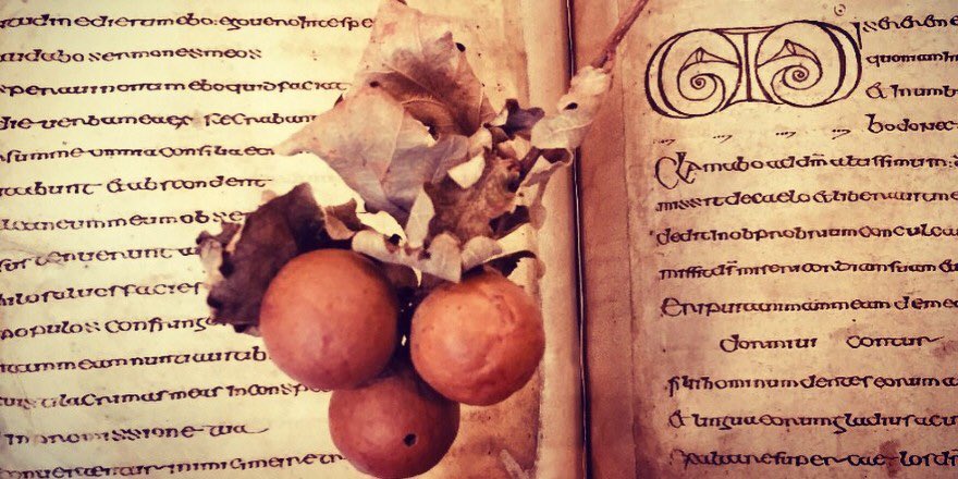 Apart from the rubric and dotted decoration the script is written in dark brown ink, made from oak galls. You may like to read this lovely blog post written by one of our Readers, Kathleen Reen, earlier this year.  https://www.ria.ie/news/library-library-blog/memories-manuscripts-and-medieval-ink