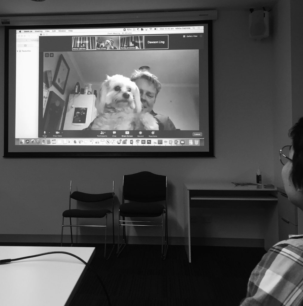 ThoreyJonsdott1's tweet photo. Meet the honorary member of the Gilson/Crabb laboratory, doctor Petal. Petal has worked along side Paul Gilson through the years on deciphering the importance of protein export in #plasmodium
Here she is providing @mikhagabriela constructive feedback on HSP101
#labpet #zoom https://t.co/8hjSsOAMD8