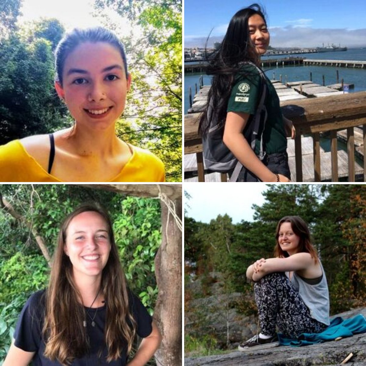 The Bio-Diverse Festival tweet media