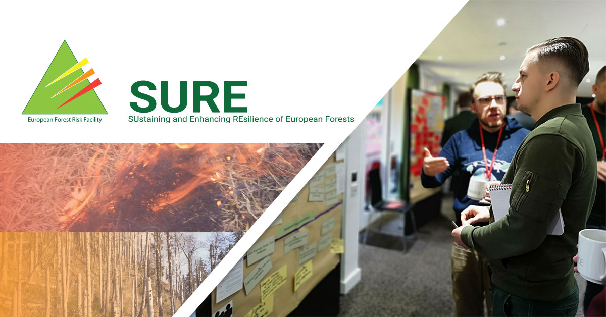 efiresilience's tweet photo. The registration for the SURE final virtual conference is now open: “Collaboration – key to forest disturbance management in a new decade”, 26-27 August 2020. 
#ForestRisks ➡️ https://t.co/syfBYArSlL https://t.co/hejscUFLs3