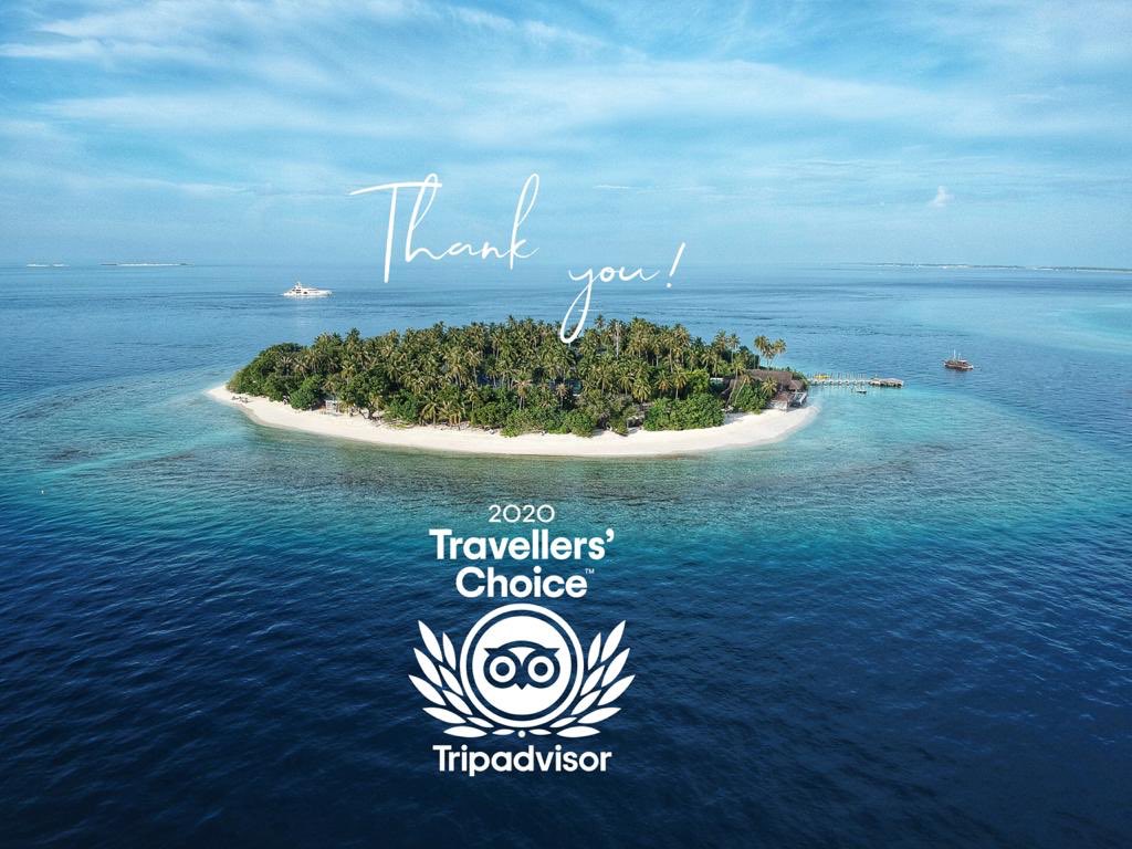 Malahini Kuda Bandos tweet media