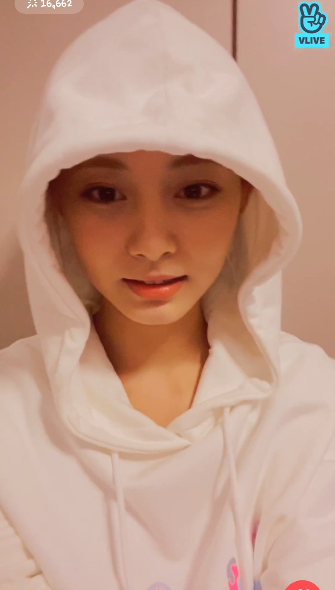 Twice top tzuyu hoodie