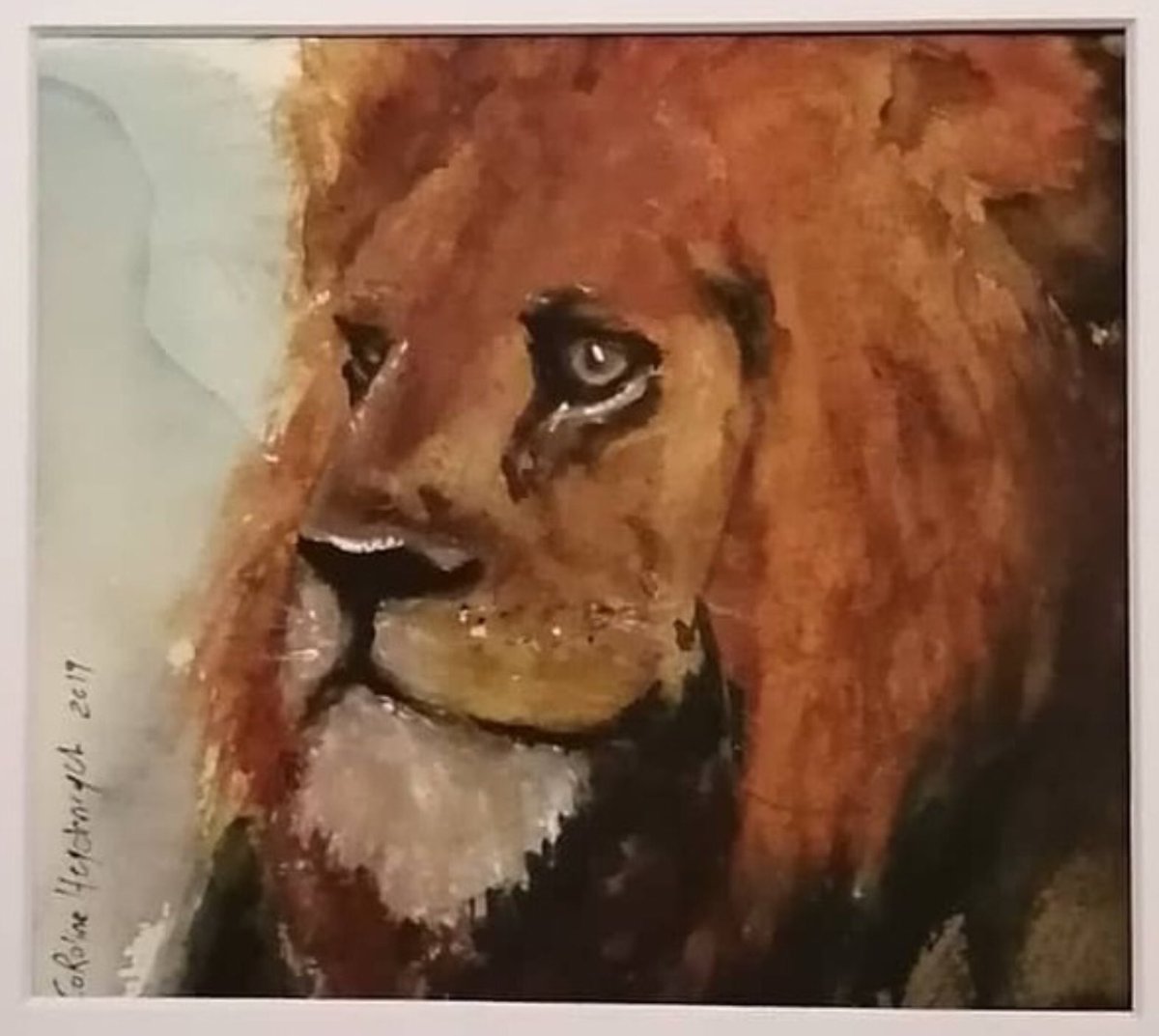 Andre van Noordwyk tweet media