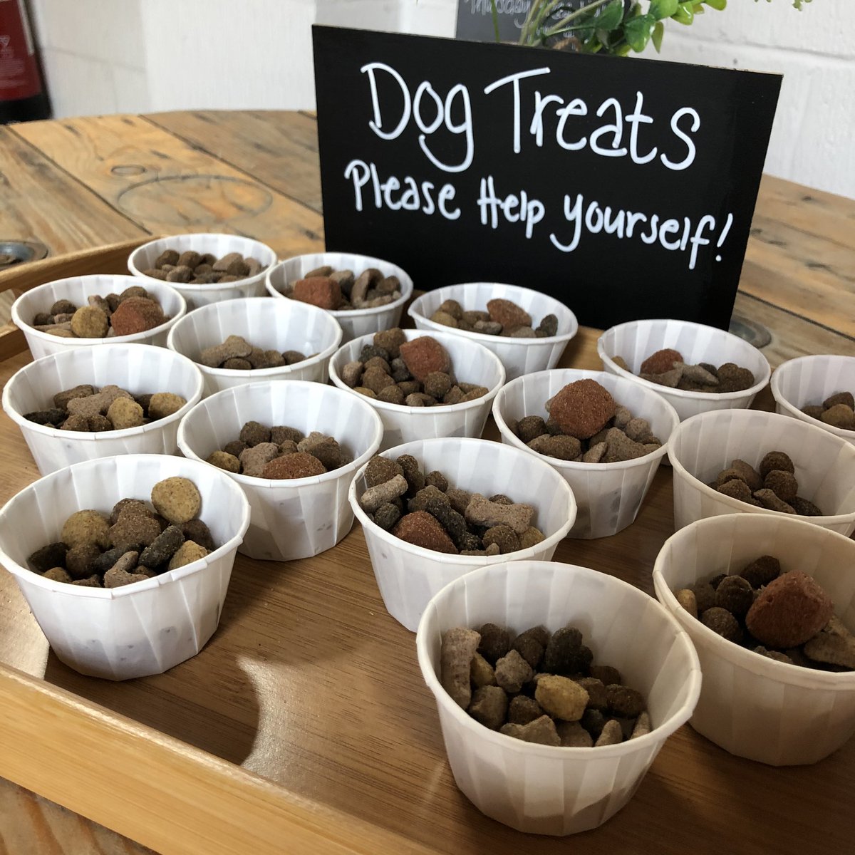 Unit1H's tweet image. We’re always looking after our 4 legged friends! 🐶 
#unit1 #hythe #kent #micropub #pub #bar #beer #ale #craftbeer #food #drinks #streetfood #dogfriendly #local #supportlocal #supportlocalbusiness