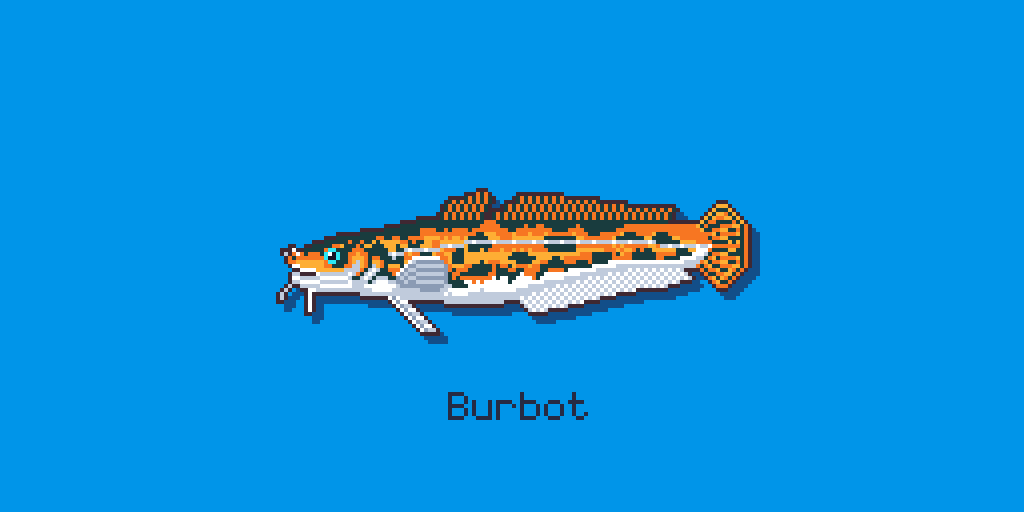 ShakaAdim's tweet photo. #pixelfish #burbot #pixelart #pixelartist #commissionsopen #under500gang #pixel #aseprite https://t.co/1W8OOXuJ9m
