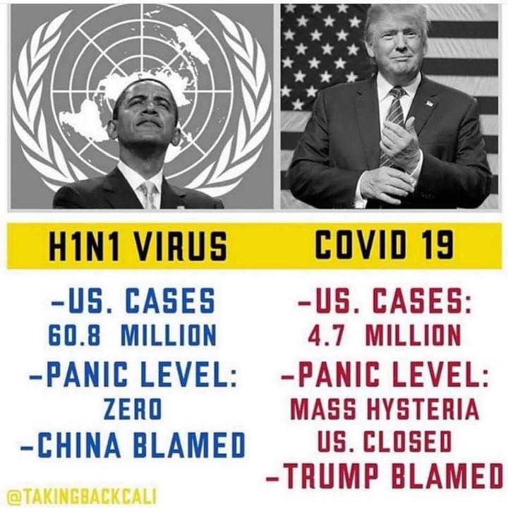 Obama abruptly stopped H1N1 testing in June of the pandemic! Why? Because qe already knew there was a pandemic! Why waste resourses! If you get sick go to the Dr! Fact!