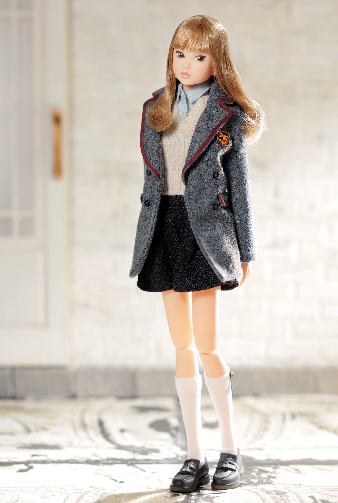 新品未開封］ccs-momoko Today
