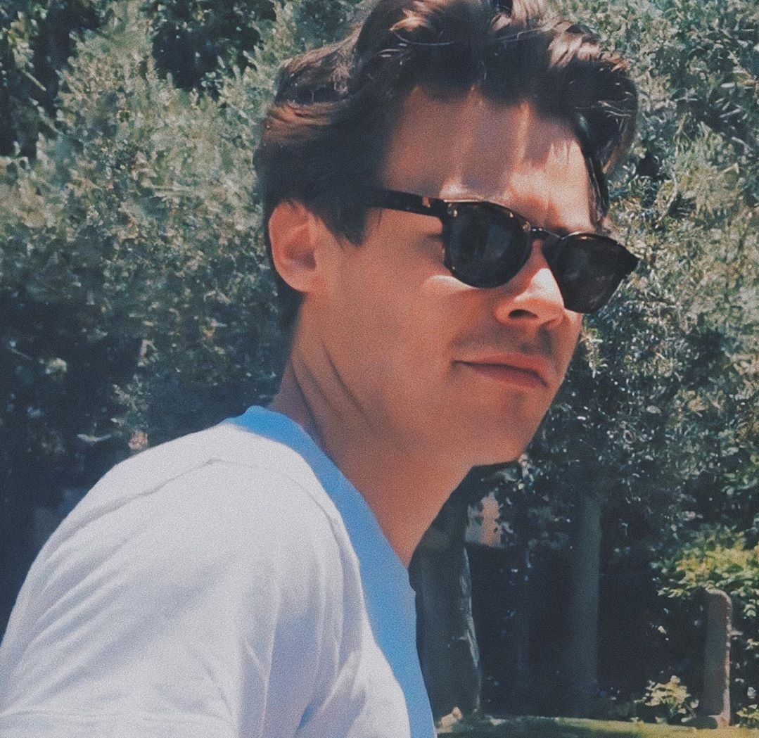 𝚈𝚘𝚞𝚛 𝙲𝚊𝚖𝚎𝚛𝚊 𝚁𝚘𝚕𝚕 𝙸𝚏 𝙷𝚊𝚛𝚛𝚢 𝚆𝚊𝚜 𝚈𝚘𝚞𝚛 𝙱𝚘𝚢𝚏𝚛𝚒𝚎𝚗𝚍 𝙾𝚛𝙸𝚏 𝚈𝚘𝚞 𝙰𝚛𝚎 𝙻𝚘𝚞𝚒𝚜 𝚃𝚘𝚖𝚕𝚒𝚗𝚜𝚘𝚗 ~ a thread