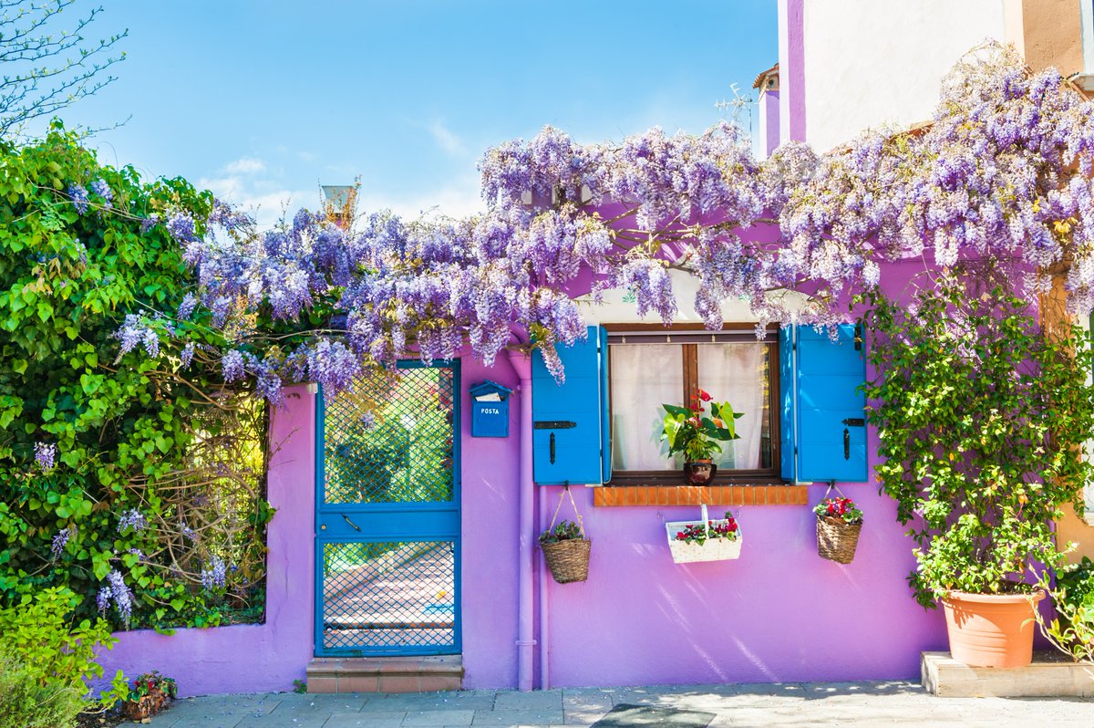 EvolutionTravel's tweet photo. 📌 Buongiorno da #Burano, un'isola attraversata da canali e ponti. In passato le famiglie di pescatori dipingevano le loro case per distinguerle le une dalle altre e oggi questa caratteristica è diventata la principale attrazione del luogo.

#viaggi #italia #TravelTuesday https://t.co/trBBoSio6I