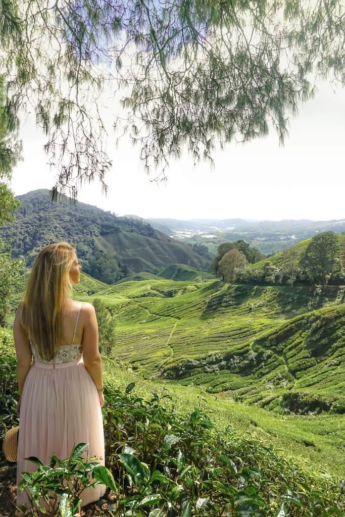 TThalpe's tweet photo. "INSTEAD OF WONDERING WHEN YOUR NEXT VACATION IS, MAYBE YOU SHOULD SET UP A LIFE YOU DON'T NEED TO ESCAPE FROM".
https://t.co/ZSLnOF5qCl
#holiday_living #invest_homes_srilanka
#tropicalhomes #tropicallifestyle #sunnydayeveryday #designyourhome #homeinthesun #homeinspiration https://t.co/oBN4HcbRR8