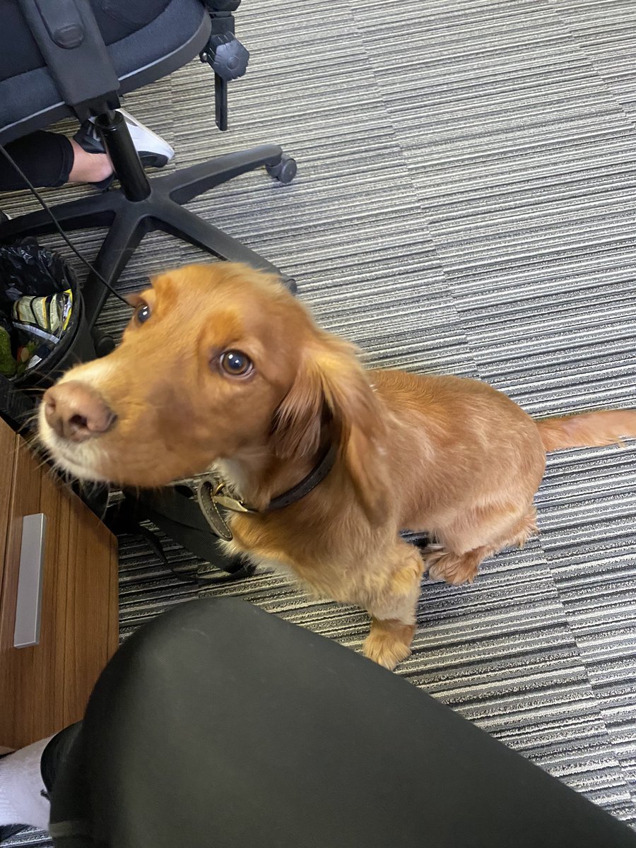 Compucover (@Compucover1) | Twitter