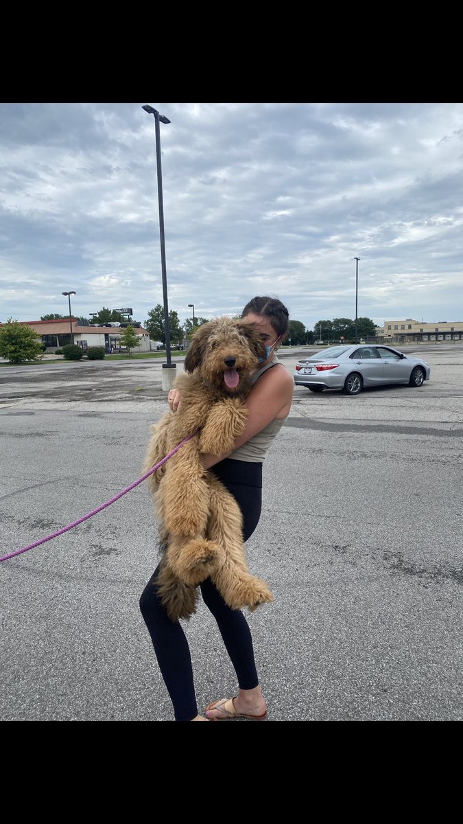 andrea_dillon's tweet photo. Rescued this sweet girl yesterday and I apologize in advance because I am OBSESSED https://t.co/HT3HtFYPuh