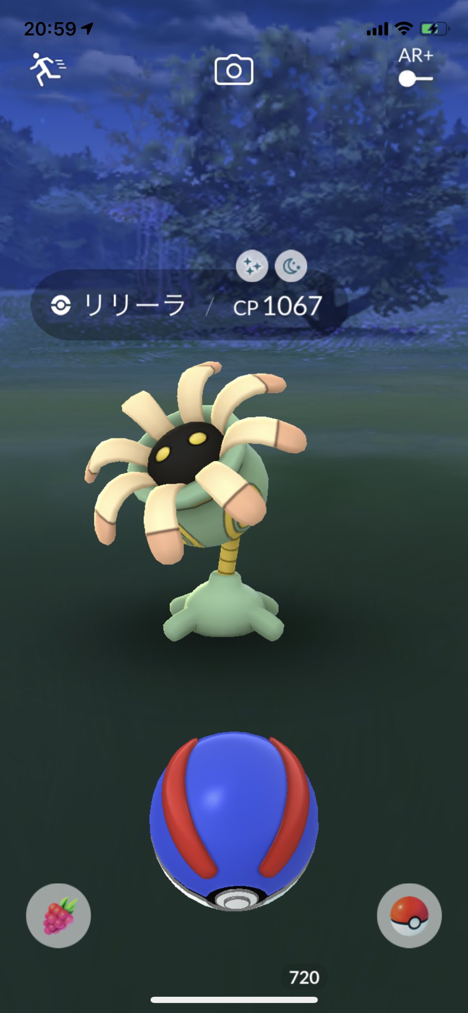 トップのマサ リリーラ色違い久々に来ました ユレイドルに進化しました ポケモンgo リリーラ ユレイドル T Co F7kqswhuvx Twitter