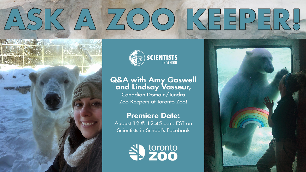 Sci_in_School's tweet photo. Last chance to send in questions for our "Ask a Zoo Keeper" Q&A! Got any questions for Amy and Lindsay, Canadian Domain/Tundra Zoo Keepers @TheTorontoZoo? Reply to this tweet or DM us for a chance to have your question featured!
Watch the Premiere on our Facebook on Aug. 12! https://t.co/T1B38cnmiW