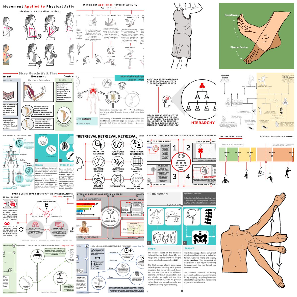zeph_bennett's tweet image. My shared drive drive.google.com/drive/folders/… now has 253 resources for downloading and using in your own work. Highlights include 181 illustrations, 19 dual coding resources, 17 memory and sequencing infographics and 36 GCSE pe resources. Please share link with colleagues, #EduPE