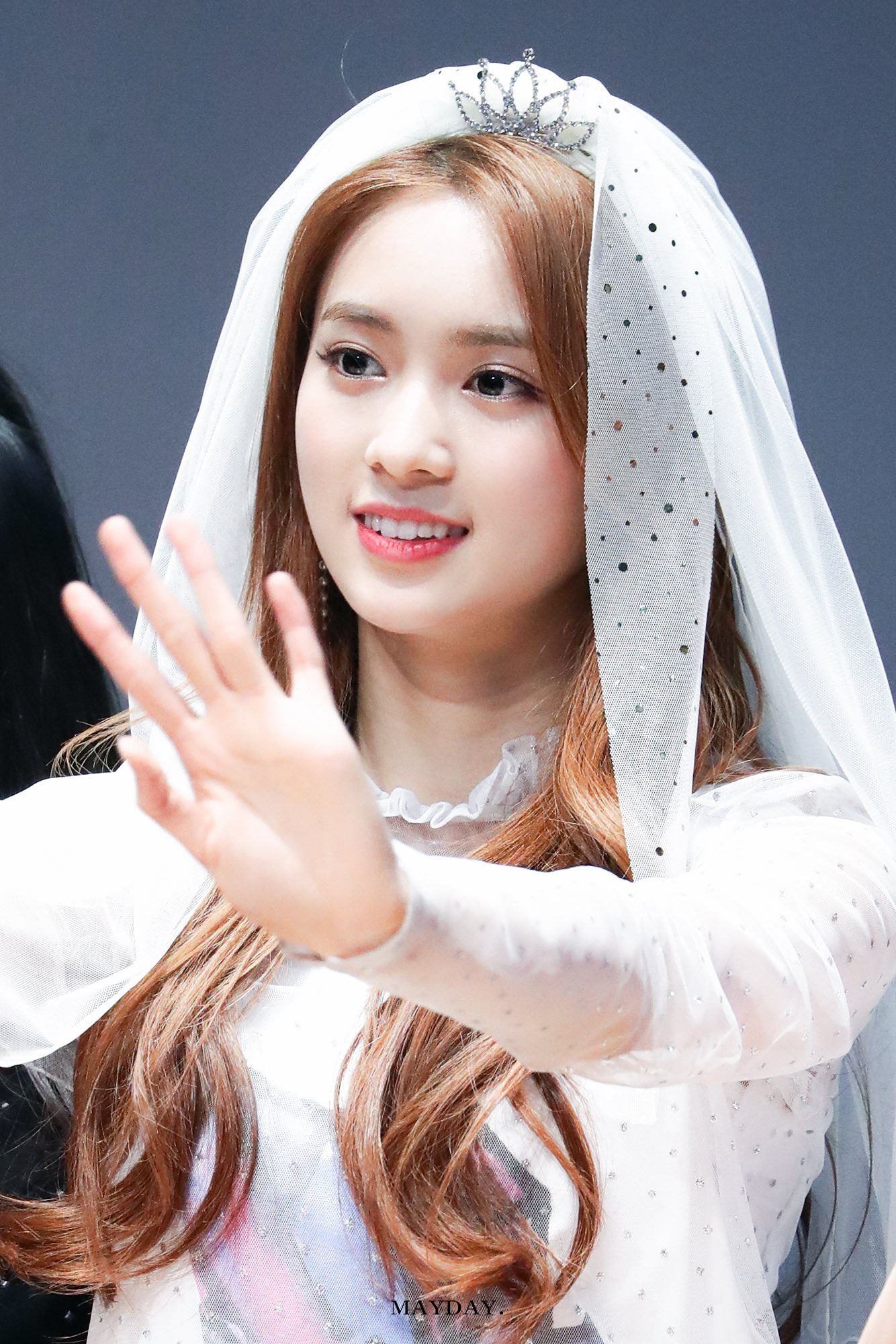 Eel2LuPUcAAyIpJ?format=jpg&name=large