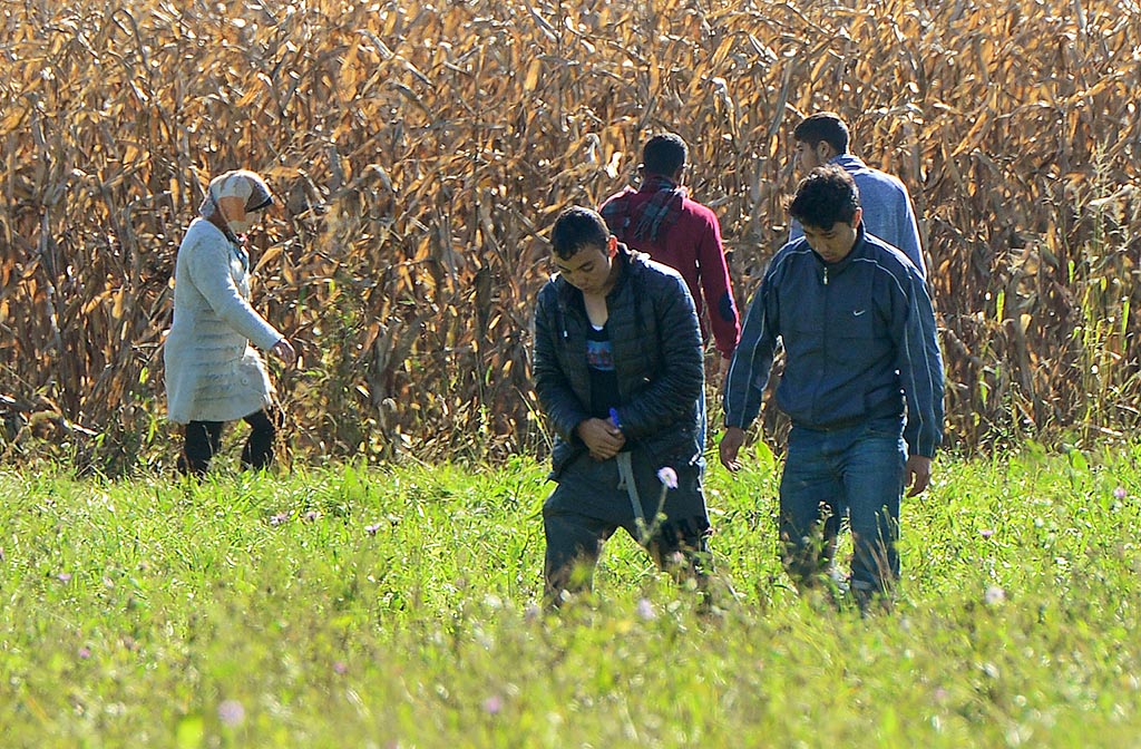 Demokracija1's tweet photo. Italija bo zaradi nezakonitih prehodov migrantov okrepila nadzor na meji s Slovenijo https://t.co/oy7FRbON4X https://t.co/oetJWEC4ds