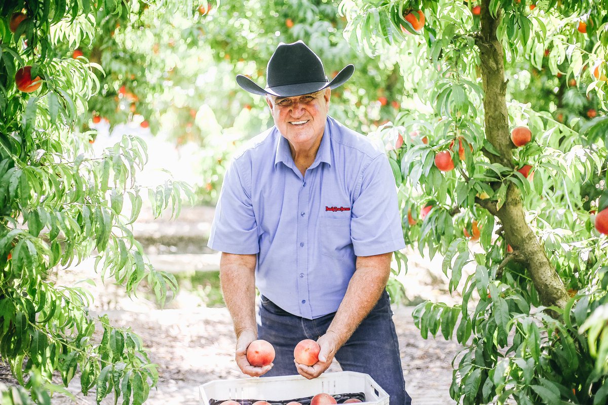 Family Tree Farms tweet media