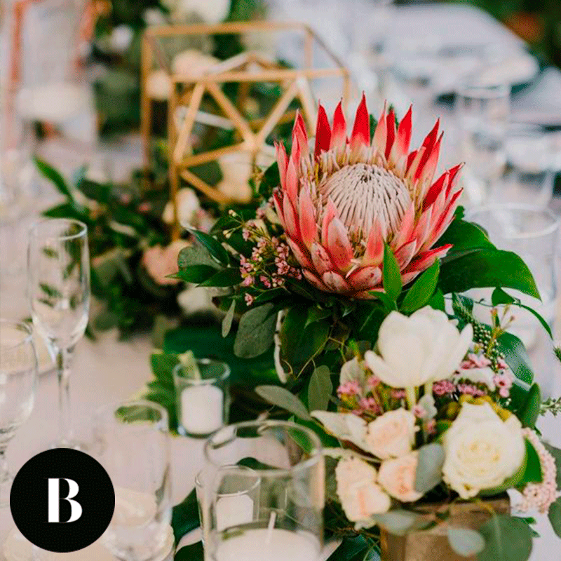 BODISSIMA's tweet photo. ¡Una grandiosa idea para agregar las suculentas en tu boda! ¿Qué te parece agregarlas en tu centro de mesa! 👰🤵😍✨
Encuentra a las mejores florerías en nuestro sitio web https://t.co/cf0nHSKc8W 👉https://t.co/R9ae7XvCcm https://t.co/LbTo4WMd12