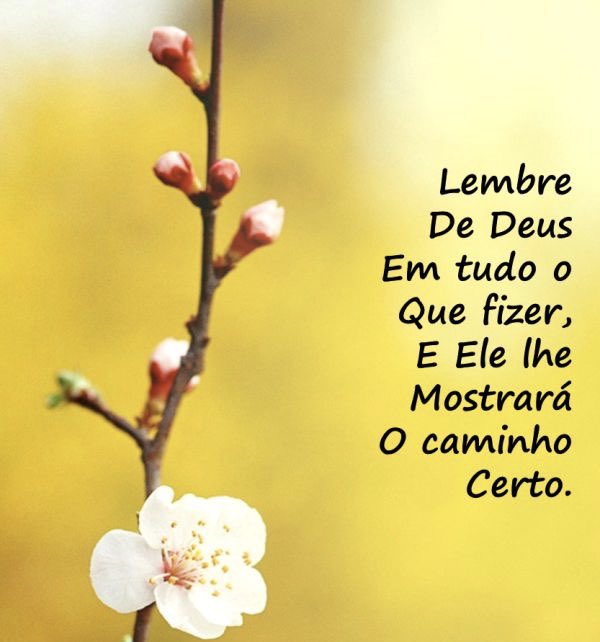 Monica Bulhões on Twitter: Monica Bulhões on Twitter: