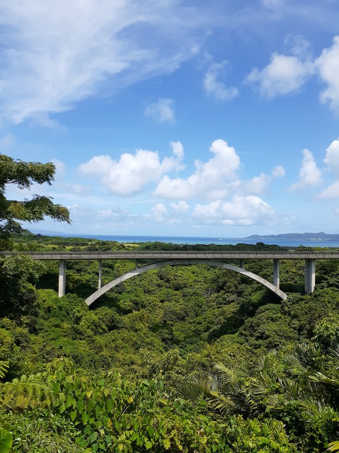 تويتر しょうじ على تويتر 石垣島生活風景 潜らない日はバンナ公園 であい橋 森の精の橋 聖紫花の橋 パラピドー橋 T Co Orxn30jzjp