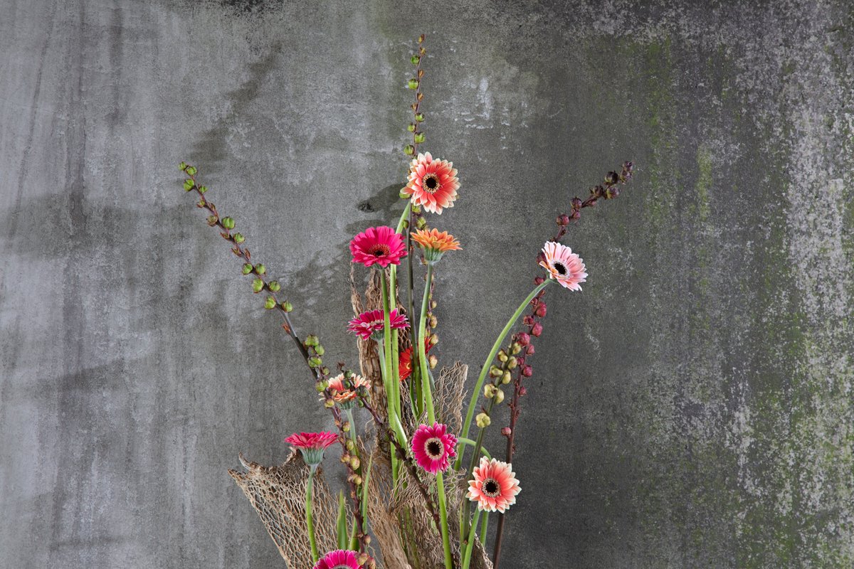 These are the smallest flowers in our Gerbera collection. After the summer we deliver more than 20 different Piccolini varieties. From bright red to soft white, orange, yellow and pink!