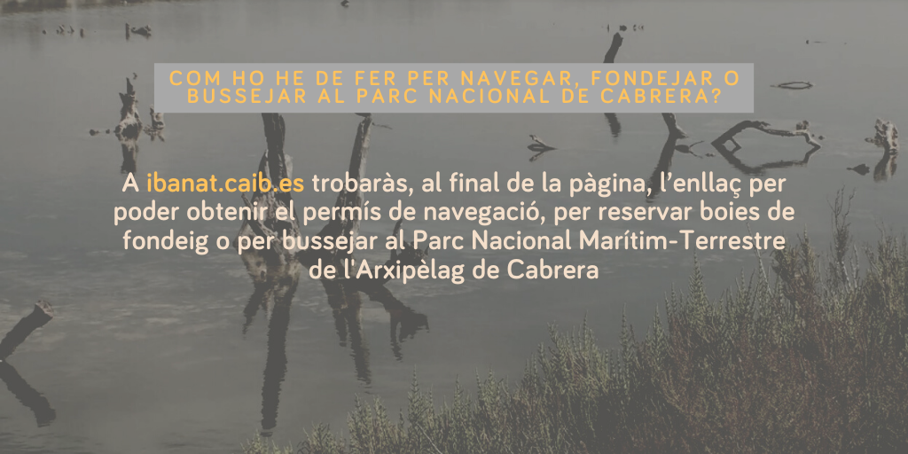 piacaib's tweet photo. ℹ️ Una de les preguntes més freqüents que rebem al Punt d'Informació Ambiental té a veure amb què es pot fer al #PNCabrera
❓Si teniu algun dubte, escriviu-nos o utilitzau el hashtag #PIAFAQs! https://t.co/bIk1uTxTCG