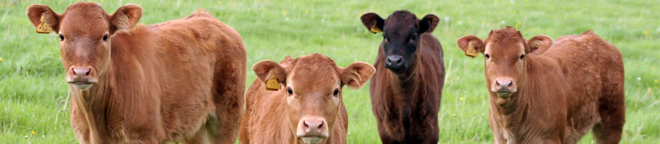 Check out our August News
shorturl.at/iIV28