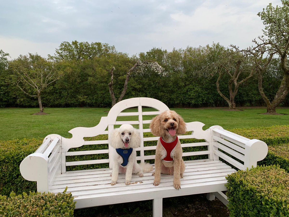 EdenMarketiers's tweet image. Take a break @MalloryCourt and bring along your pooch! Book a stay bit.ly/3iBzmuR and discover Warwickshire. There’s plenty of paw-fect trails we can recommend, read on for ideal ‘walkies’…  bit.ly/3iFTA6z #Warwickshire #ShakespearesEngland #LoveEden