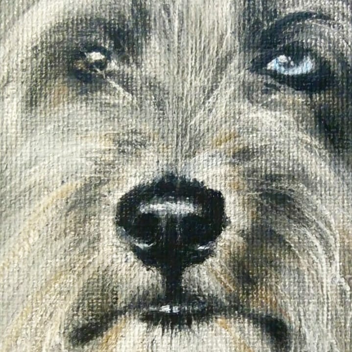 blackypawz's tweet photo. A painting of my dog I made a few months ago. I think it's time for me to post drawings on twitter more often. ♥️ https://t.co/QWCjIbQMSC