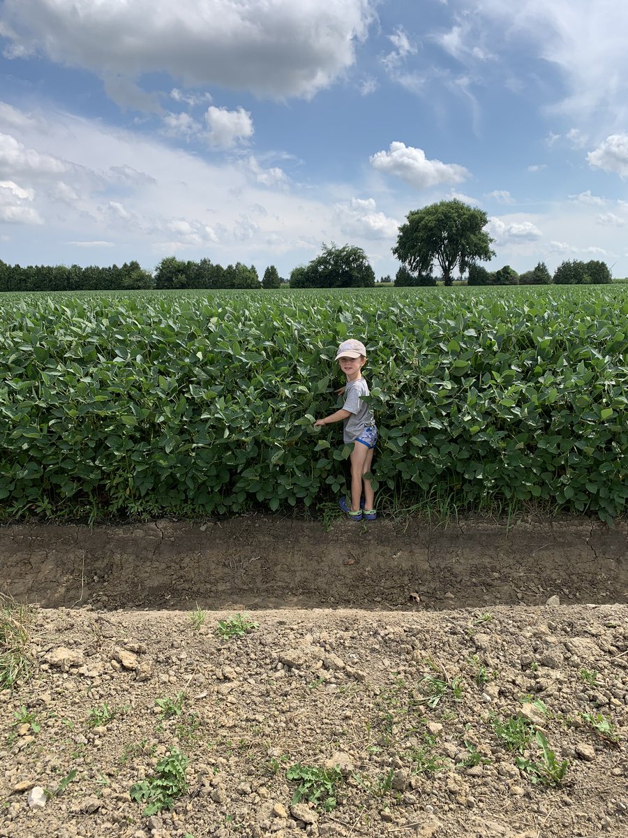 craig chevalier tweet media