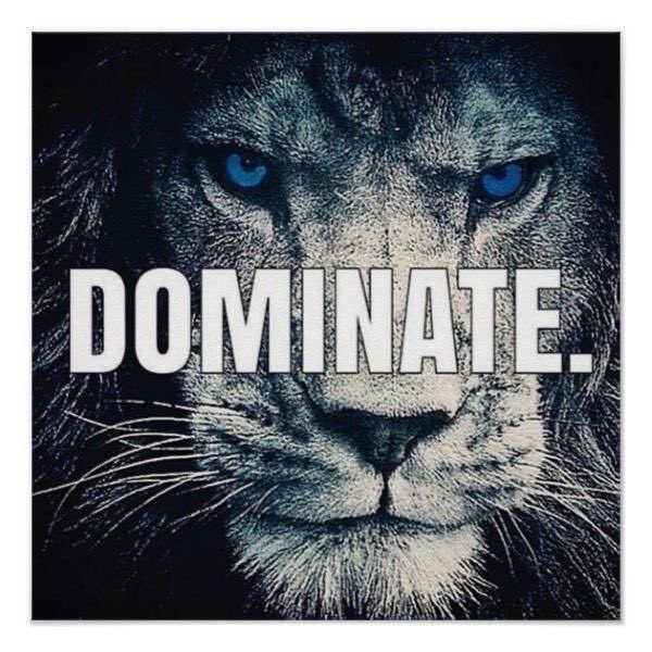ReviewsContract's tweet photo. It starts now 👊🏻👊🏻👊🏻 #legaladvice #contractlaw #ocr #onlinecontractreviews #dominate #acheive #secureyourfuture #staysafe https://t.co/5xXiuhPgrf