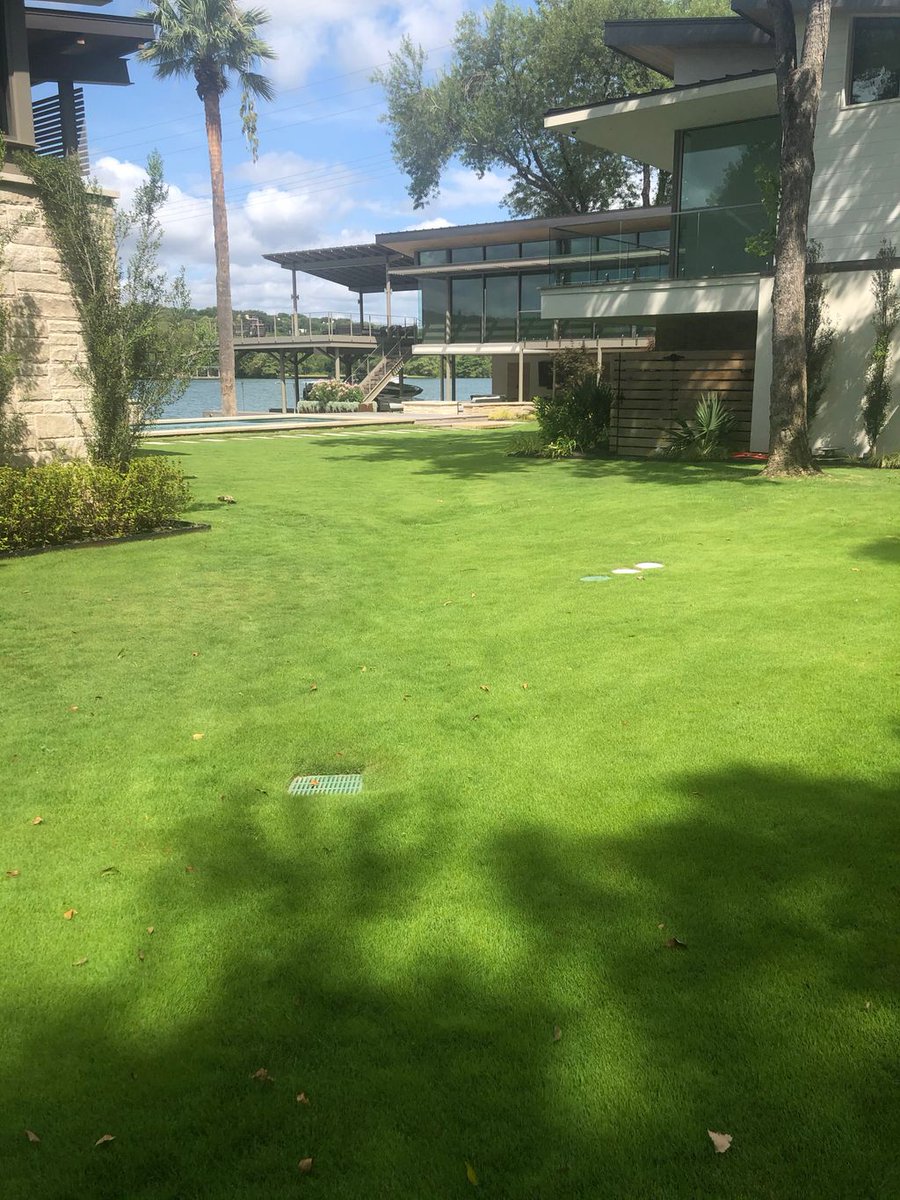 Before &amp; After: The power of LESCO CarbonPro-G is sure to turn any turf establishment around! At the beginning of June, this yard was struggling in the Austin, TX heat. By the end of July, it has made quite a turnaround! Have you tried LESCO CarbonPro-G yet?