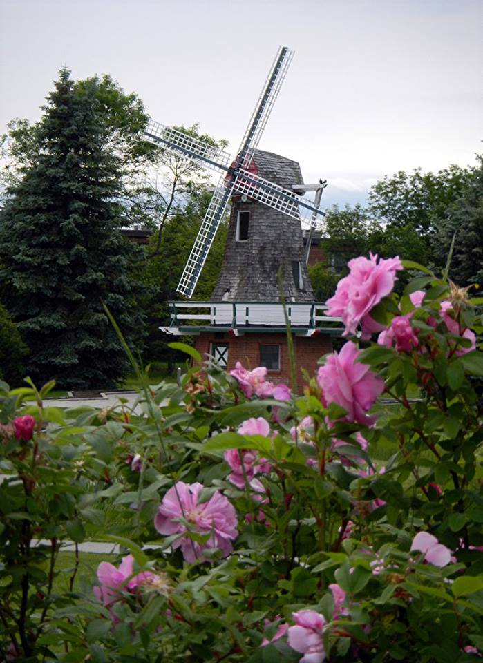 friendsTBcon's tweet photo. Cool start to the morning but a sunny day ahead to enjoy #ThunderBay's 45+ km of multi-use recreation trails. The Centennial Botanical Conservatory and the International Friendship Gardens are only a pleasant stroll apart.
#tbaylovin #activetbay #walktbay #biketbay #tbay https://t.co/9lLtzcHYQO