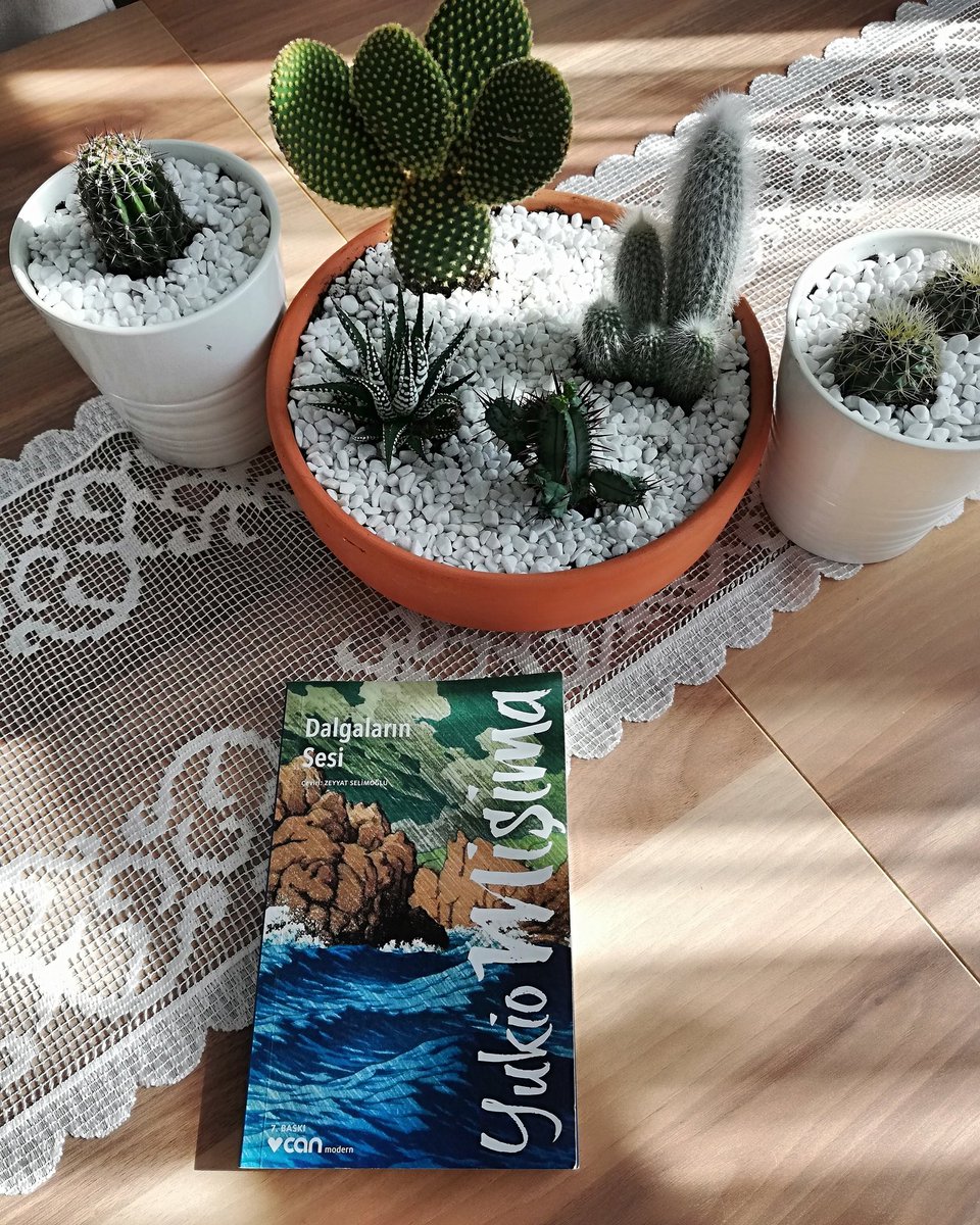 SNebide's tweet photo. 🌵Herşeyin yoluna gireceğinden emin olun haklı olan hakkını sessiz sedasız kabul etirir sonuçta haklı olan herzaman güçlü olandır.
#kitapalıtıları #yukiomişima https://t.co/Brj9zV5UKz