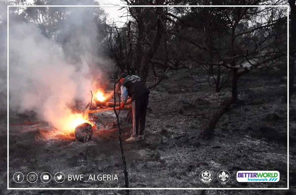 BWF_AlGERIA's tweet photo. مساهمة افراد من الكشافة الإسلامية الجزائرية في عملية اطفاء الحرائق في الغابات من اجل المحافظة على الغطاء النباتي رفقة اعوان حرس الغابات 
#الكــــشافة_الإسلاميــــة_الجزائــــــرية 
#ALGERIAN_MUSLIM_SCOUTS
#better_world_framework
#earthtribe #scouts
#الجزائر 
@worldscouting https://t.co/PgWreLgCxB