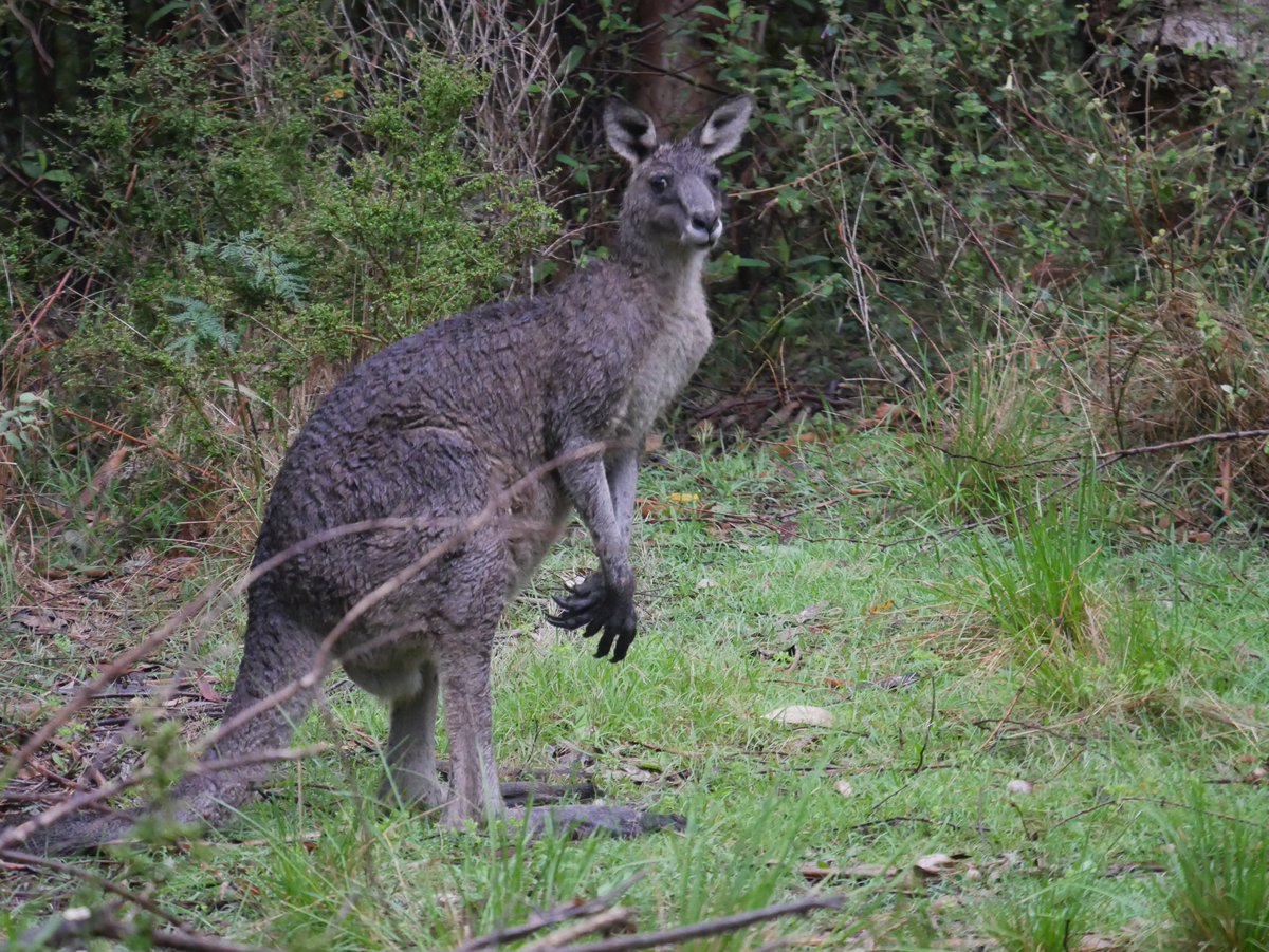 Luc Serplet (@lucserplet) on Twitter photo 