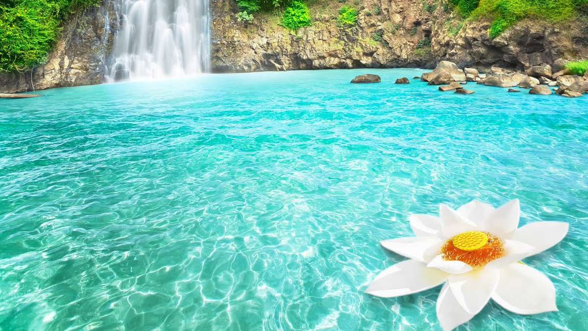 SoundForRelax's tweet image. #YouTube #nature #性質

VIDEO🎥#Relaxing #Music to #Rest the Mind, #Relax and #Sleep, Beautiful #waterfall of turquoise #water🎶

VIDEO🎥#Música #Relajante para #Descansar la Mente, #Relajarse y #Dormir, Hermosa #cascada de #agua color turquesa🎶

Link👇🎥
youtu.be/0cBQ94WMMKk