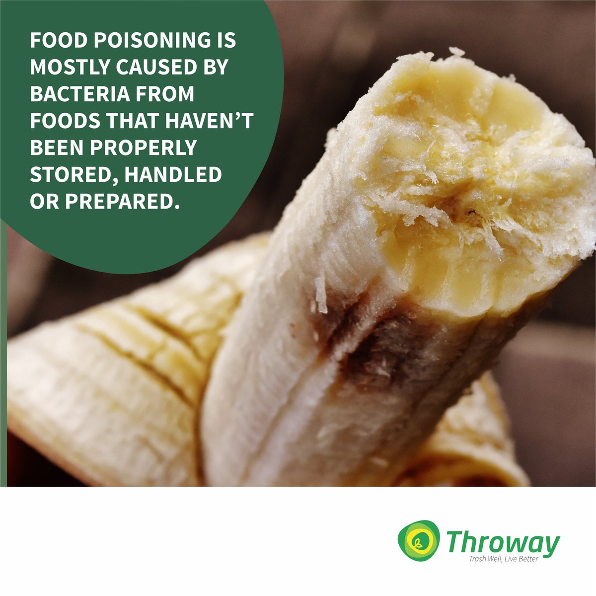 ThrowayNG's tweet photo. If food is not stored properly, the bacteria in it can multiply. Make sure that it is thoroughly cooked in order to destroy any harmful bacteria that might be present.

#ThrowayNG
#TrashWellLiveBetter https://t.co/oC3xdL0ZWJ